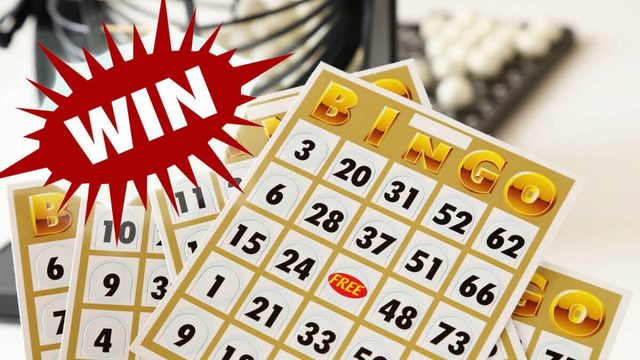 Cách chơi bingo là như thế nào? Khám phá chiến lược chơi thành công